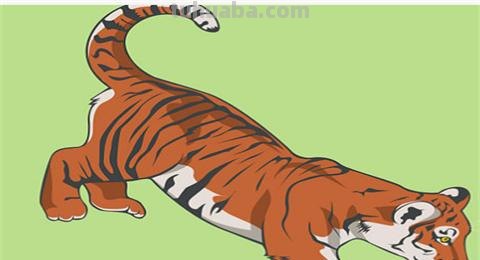 虎头怎么画简笔画 画虎教程? 虎头怎么画简笔画 画虎教程?