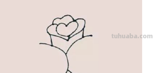 玫瑰简笔画怎么画 玫瑰简笔画怎么画