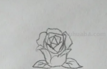 玫瑰花的简笔画怎么画 玫瑰花的简笔画怎么画