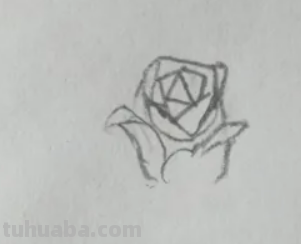 玫瑰花的简笔画怎么画 玫瑰花的简笔画怎么画