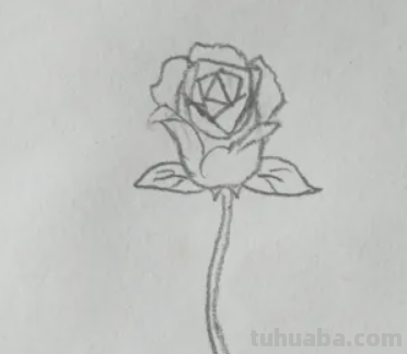 玫瑰花的简笔画怎么画 玫瑰花的简笔画怎么画