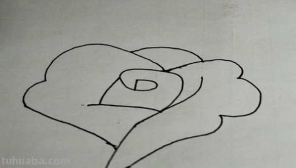 玫瑰花简笔画怎么画 玫瑰花简笔画怎么画