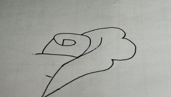 玫瑰花简笔画怎么画 玫瑰花简笔画怎么画