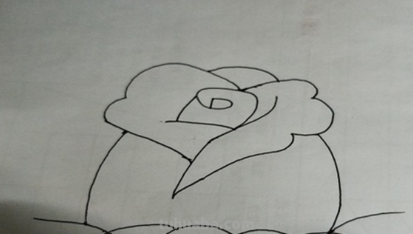 玫瑰花简笔画怎么画 玫瑰花简笔画怎么画
