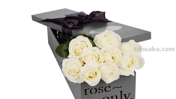 玫瑰花简笔画怎么画 玫瑰花简笔画怎么画