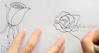玫瑰花的简笔画怎么画最好看又简单 玫瑰花的简笔画怎么画最好看又简单
