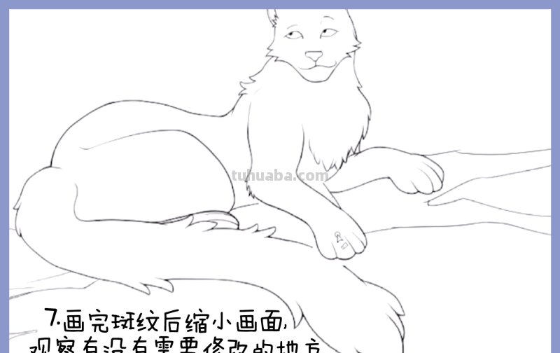 南宁金号角~《悠闲的雪豹》漫画绘制过程