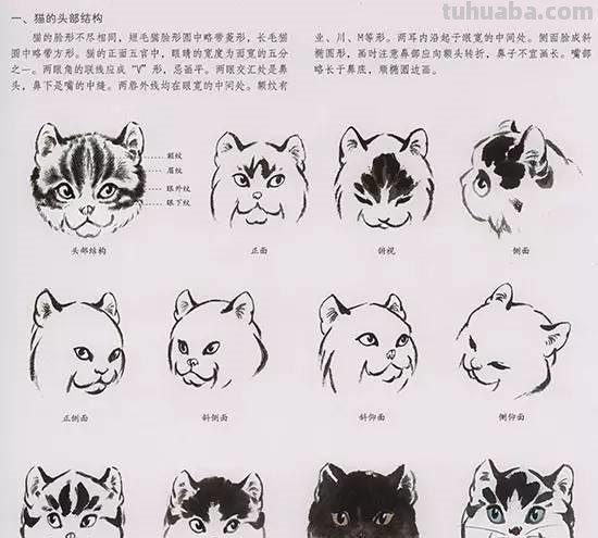 国画技法：教大家画萌萌的喵星人！