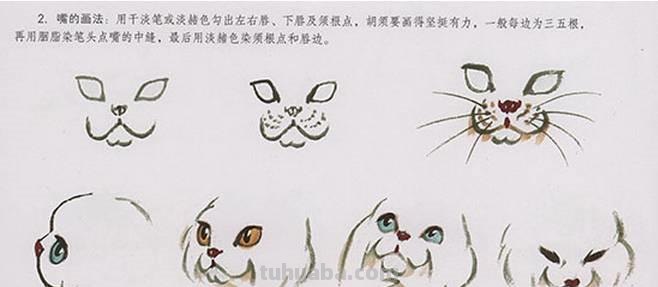 国画技法：教大家画萌萌的喵星人！