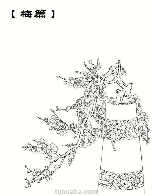 梅花简笔画 梅花简笔画图片大全