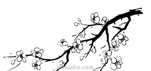 梅花简笔画