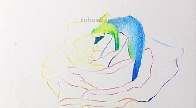 花儿怎么画彩铅颜色 彩铅画玫瑰花教程? 花儿怎么画彩铅颜色 彩铅画玫瑰花教程?