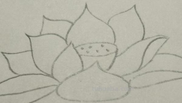 花儿怎么画彩铅颜色 彩铅画玫瑰花教程? 花儿怎么画彩铅颜色 彩铅画玫瑰花教程?