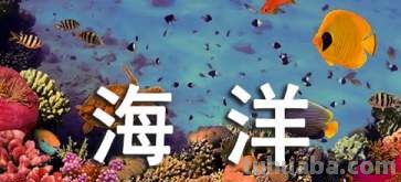 海洋手抄报 海洋手抄报