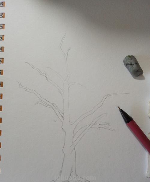 树枝怎么画 彩铅颜色 怎么使用彩铅画树？
