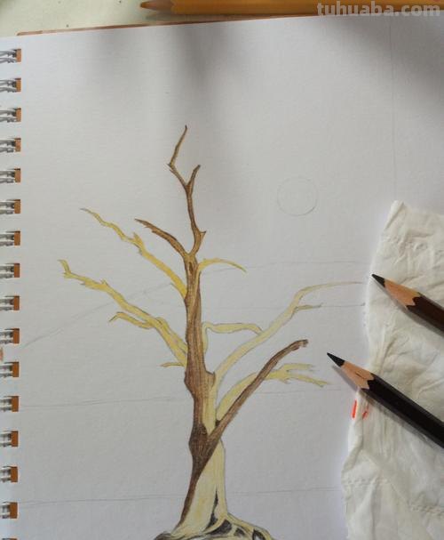 树枝怎么画 彩铅颜色 怎么使用彩铅画树？
