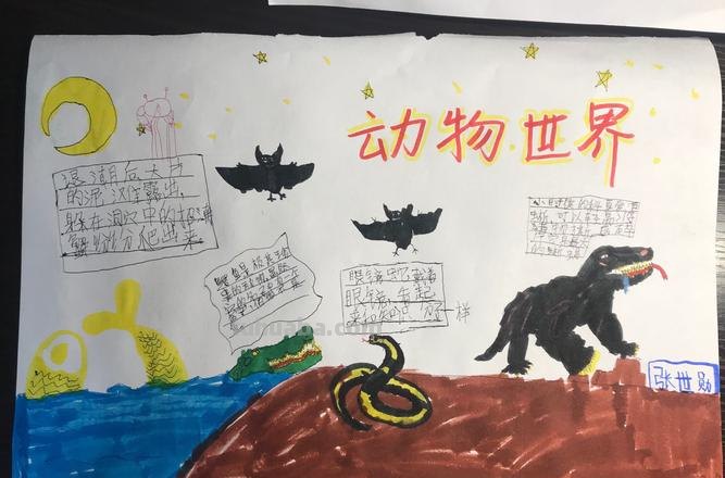 动物的手抄报怎么做 动物手抄报简单漂亮教程？