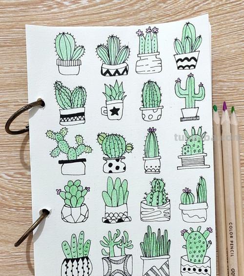 卡通仙人掌怎么画 卡通仙人掌怎么画盆栽