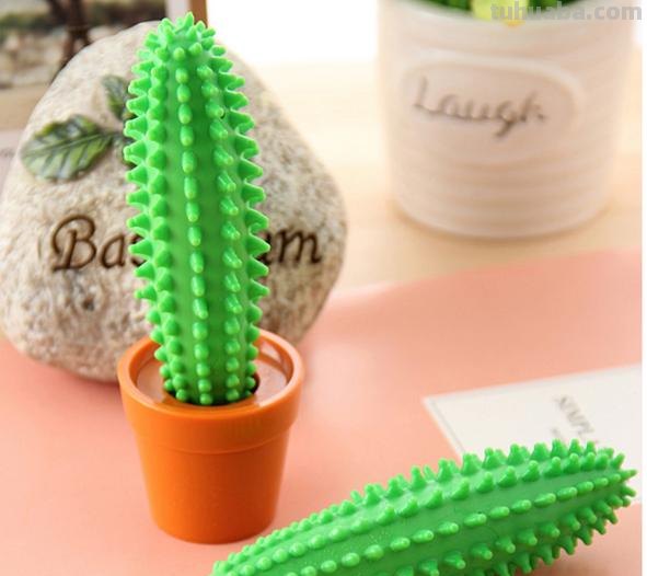 大家猜猜这是什么?