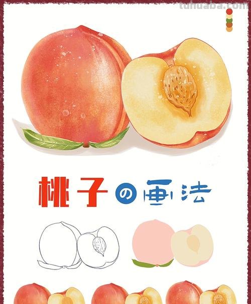 桃子色彩及桃子色彩画法——如何用粉嫩的色彩画出甜美的桃子 