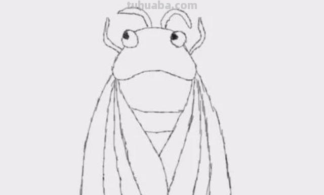 蝉怎么画简笔画 蝉的一生全过程手绘？