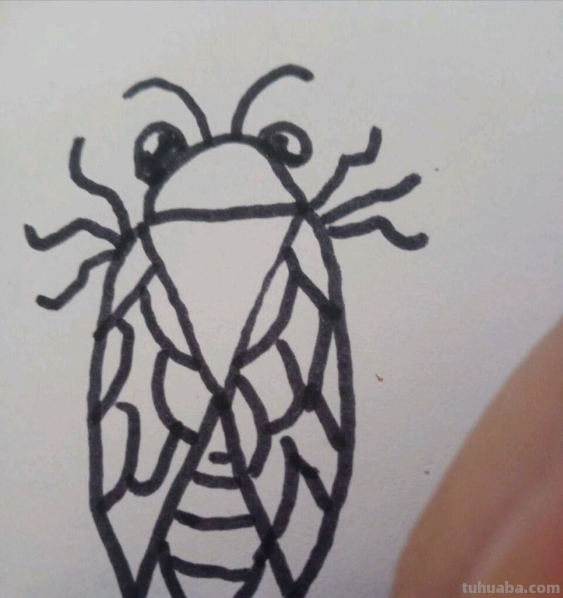 蝉怎么画简笔画 蝉的一生全过程手绘？