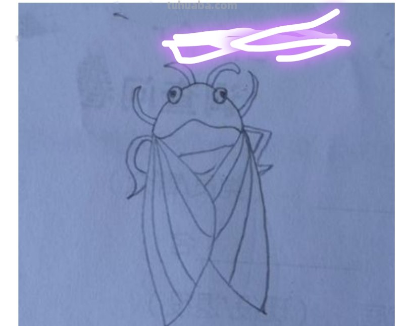 蝉怎么画简笔画 蝉的一生全过程手绘？