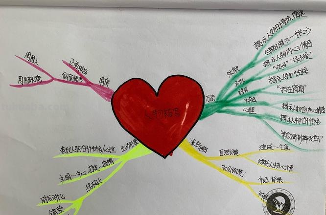 思维导图应该怎么教学 怎么用思维导图讲课？