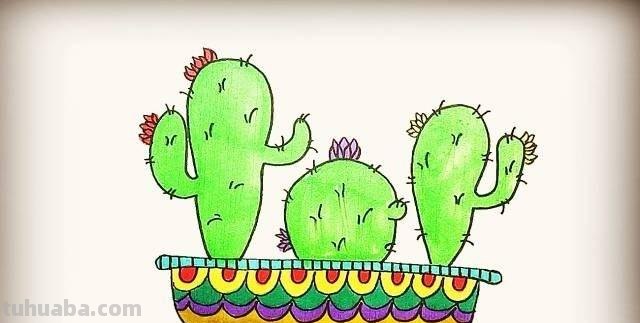 沙漠仙人掌简笔画 沙漠仙人掌简笔画彩色