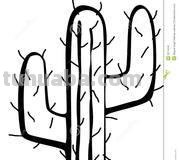 怎么画沙漠仙人掌(铅笔画)简笔画图片