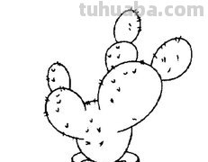 怎么画沙漠仙人掌(铅笔画)简笔画图片