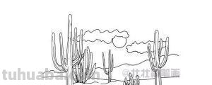 怎么画沙漠仙人掌(铅笔画)简笔画图片