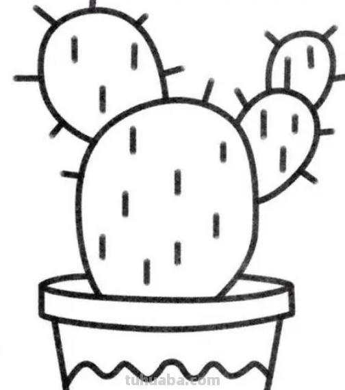 仙人掌怎么画简笔可爱