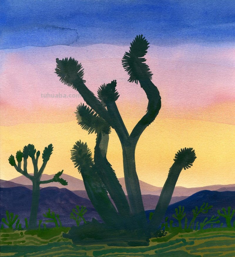 笔触优美、辽阔的风景水彩画，体现出大自然的治愈系力量