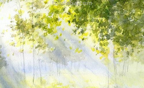 洒满阳光的小树林｜自然系赏心悦目风景水彩画