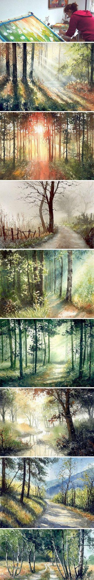 洒满阳光的小树林｜自然系赏心悦目风景水彩画