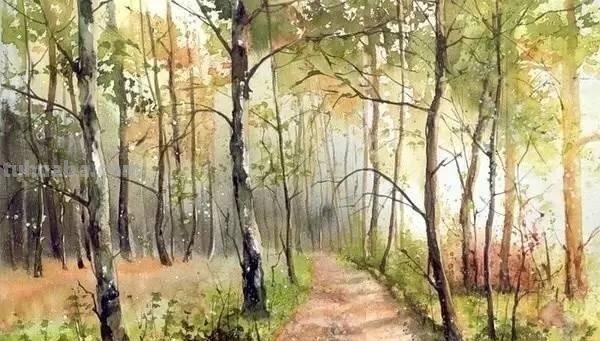 洒满阳光的小树林｜自然系赏心悦目风景水彩画