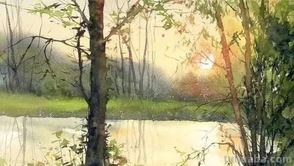 洒满阳光的小树林｜自然系赏心悦目风景水彩画