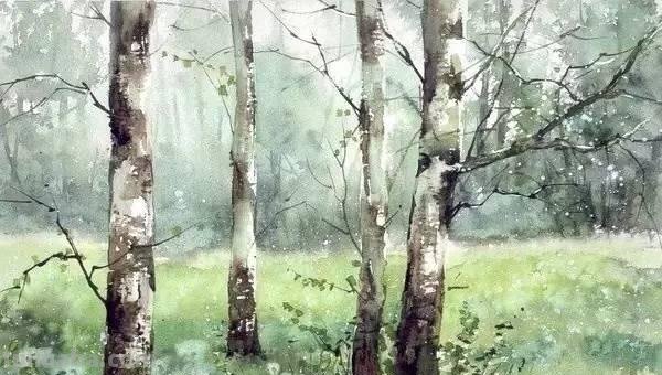 洒满阳光的小树林｜自然系赏心悦目风景水彩画