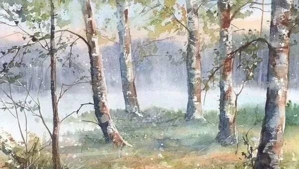洒满阳光的小树林｜自然系赏心悦目风景水彩画