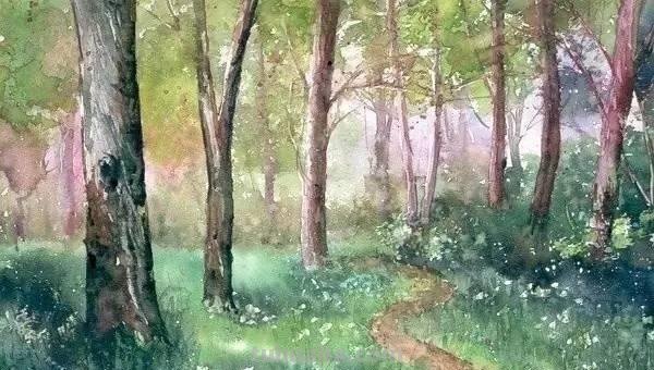 洒满阳光的小树林｜自然系赏心悦目风景水彩画