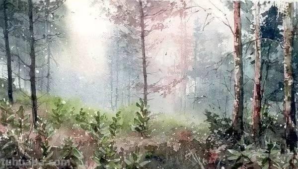 洒满阳光的小树林｜自然系赏心悦目风景水彩画