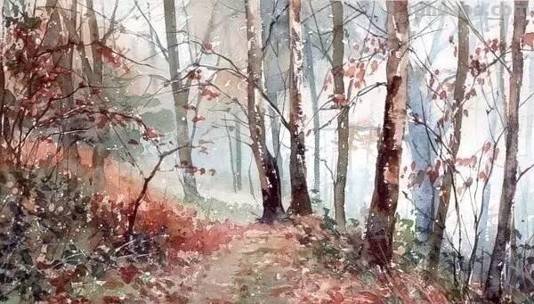 洒满阳光的小树林｜自然系赏心悦目风景水彩画