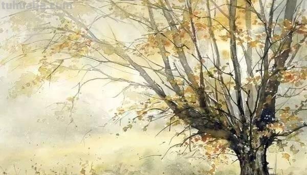 洒满阳光的小树林｜自然系赏心悦目风景水彩画