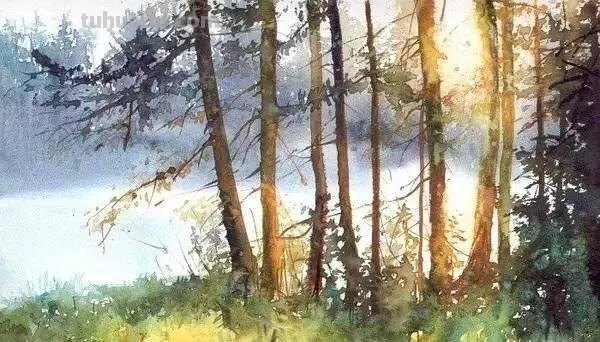 洒满阳光的小树林｜自然系赏心悦目风景水彩画