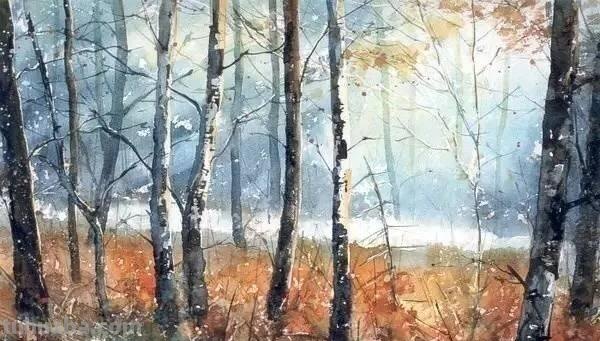 洒满阳光的小树林｜自然系赏心悦目风景水彩画