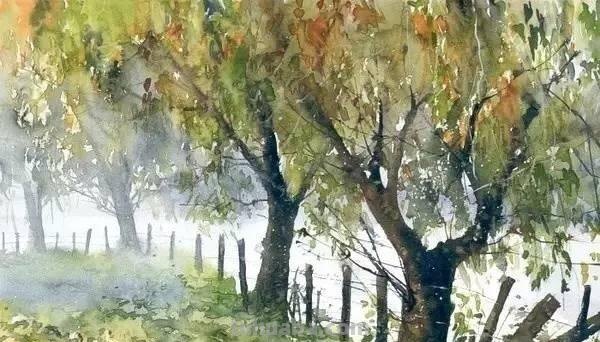 洒满阳光的小树林｜自然系赏心悦目风景水彩画