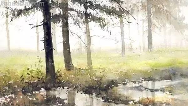 洒满阳光的小树林｜自然系赏心悦目风景水彩画
