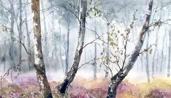 洒满阳光的小树林｜自然系赏心悦目风景水彩画