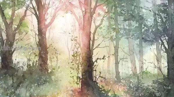 洒满阳光的小树林｜自然系赏心悦目风景水彩画